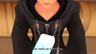 Kingdom Hearts Dream Drop Distance (3D) : Roxas says 