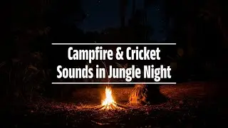 Campfire & Cricket Sounds in Jungle Night  1.5 Hours ASMR for Sleep, Study, Meditation