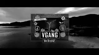 Mr Traumatik - Vgang