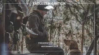 Passing on Duck Hunting Traditions for Hunter and Dog - Passing the Torch - Official Trailer Final