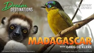 Webinar: Madagascar with Greg de Klerk
