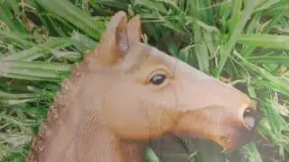Schleich Horse Drawings #1 | Sami Stables