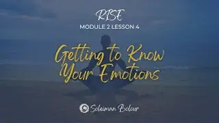 RISE Course - M2 L4 - Emotional Intelligence: Know Yourself Better