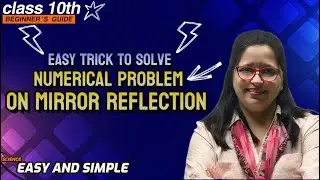 Mirror Numerical Made Easy | Reflection & Magnification Problems with Solution