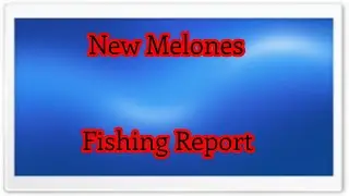 New Melones   Fishing Report