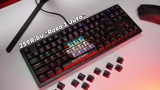 Keyboard Gaming Mechanical yang 