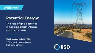 Potential Energy: The role of grid batteries in tackling South Africa's electricity crisis