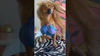 can you imagine show 😂🤣#trending #comedy
