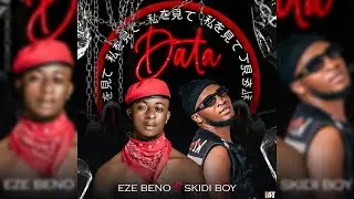 DATA  #Eze beno  ft @skidiboy5008  #ad #cameroon #usa  #dubai