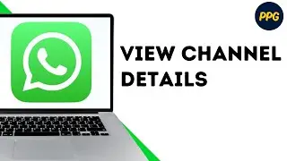 How To Check Channel Info In WhatsApp Web on PC ?