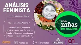ANÁLISIS FEMINISTA: 