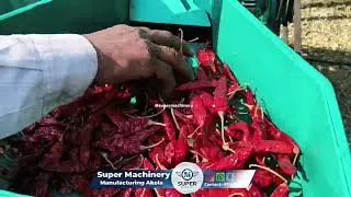 Red Chilli Powder Making Machine || Mirchi Powder Grinder Machine #business #machine 