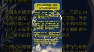 兒孫自有兒孫福，晚輩之事是否當真無需掛懷 #八字 #算命 #五行 #財運 #事業 #運勢 #玄學 #命理 #易經 #風水 #面相 #八字故事