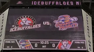 Jacksonville Icemen Hockey High Five Tunnel-Fan Penalty Box 1-4-25