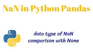 NaN (Not a Number) in Python Pandas