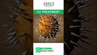 IUI Treatment? | How Does IUI Fertility Treatment Work? #iui #fertility #treatment #work