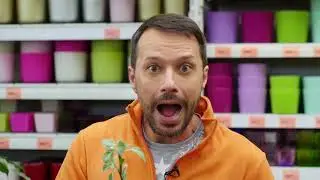 Как избавиться от муравьев? Дачная экспертиза.