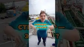 Кто такой стевидор и зачем он нужен на корабле?