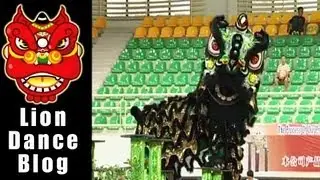 2008 Lion Dance Competition - The Selangor Qunle Long Division