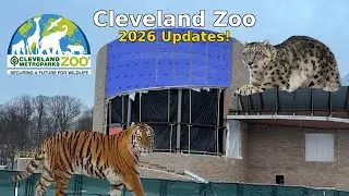 Cleveland Zoo Winter Visit & 2026 Updates | Primate Forest, Sensory Room & Winter Animals