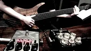 Strandberg Boden Bass Prog 5 & Darkglass Electronics X7
