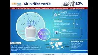 Global Air Purifier Market Forecast (2024-2030)