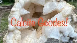 Finding epic dogtooth calcite nodules with @huntingrocks