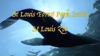 St Louis Zoo - St Louis Forest Park Series - Park Travel Review