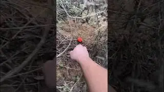 We found golf balls at night&hellip;