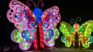 Very Impressive Pittsburgh Zoo Lights - Matthew Palm&rsquo;s 25 Days of Christmas 2025 #17