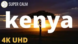 Kenya nature with a beautiful Music, relaxing Music, Stress Relief
