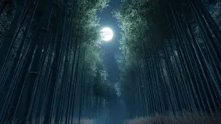 Instrumental Sleep Music 1 Hour | Calm & Relaxing Night Music