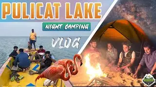 Pulicat Island Night Camping | Pazhaverkadu boating | One day trip near Chennai!
