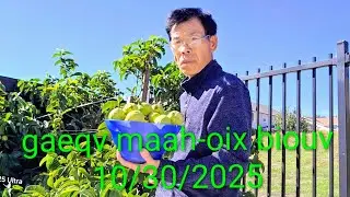 Iu-Mienh fun channel Ep 1571 gaeqv maah-oix biouv 