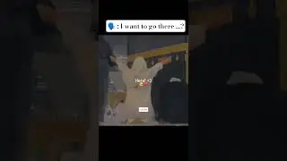 i want to go there  makkah #islamicshorts #islamicvideo #islamicreminder #treanding #viralvideo