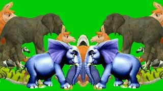 Animals stampede video | Stampede green screen | Zoo Animals Stampede Green Screen | Cartoon animal