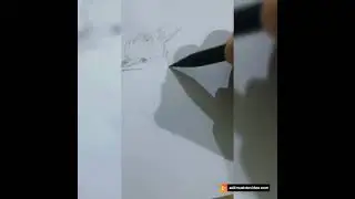 How to draw the Grey heron