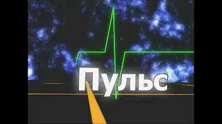 Пульс № 24 (54){Страна Игр, Gameland, апрель-май 2008 год}