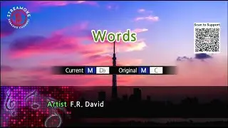 🎵 Words &ndash; F.R. David (Karaoke Version)