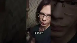 Ширли с горящими глазами #кошка #дрессировка