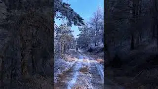 Winter Wonderland Trail: Discover the Beauty of Nature in Snow