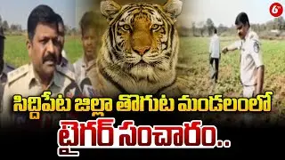 సిద్దిపేట జిల్లా తొగుట మండలంలో టైగర్ సంచారం.. | &ldquo;Dubbaka Range Officer Sandeep Kumar Issues Warning&rdquo;