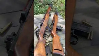 M1 Garand vs. M1 Carbine