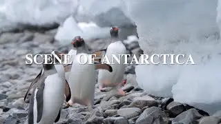 3 HOURS OF RELAXING VIEW OF ANTARCTICA | Sleep Fast With Relaxing Music