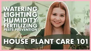 INDOOR PLANT CARE BASICS|Watering, Lighting, Humidity, Fertilizing, Pests | PHILIPPINES/ DUBAI|YEYE