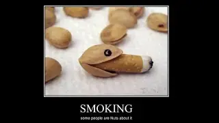 Do not smoke at College, folks. (Showing Your Opinion in Campus Area)