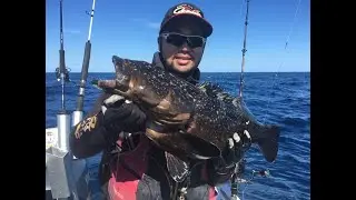 Once in a LIFETIME Catch and Release!! Black Rockcod!!!