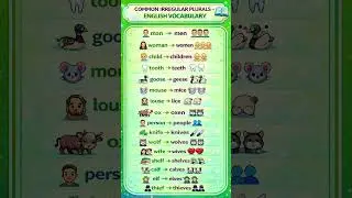Irregular Plurals in English 🇺🇸📘 | Learn Fast & Easy  ❌ Learn Irregular Plurals Easily #podcast