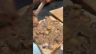 💢🤯குட்டி கடையில இவ்வளவு இரக்கா👌💥  #weekendvlogger #trichy