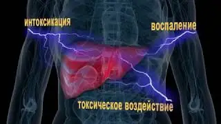 Силимар